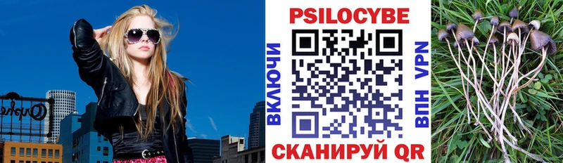 Купить закладки  Райчихинск  Галлюциногенные грибы Psilocybine cubensis 